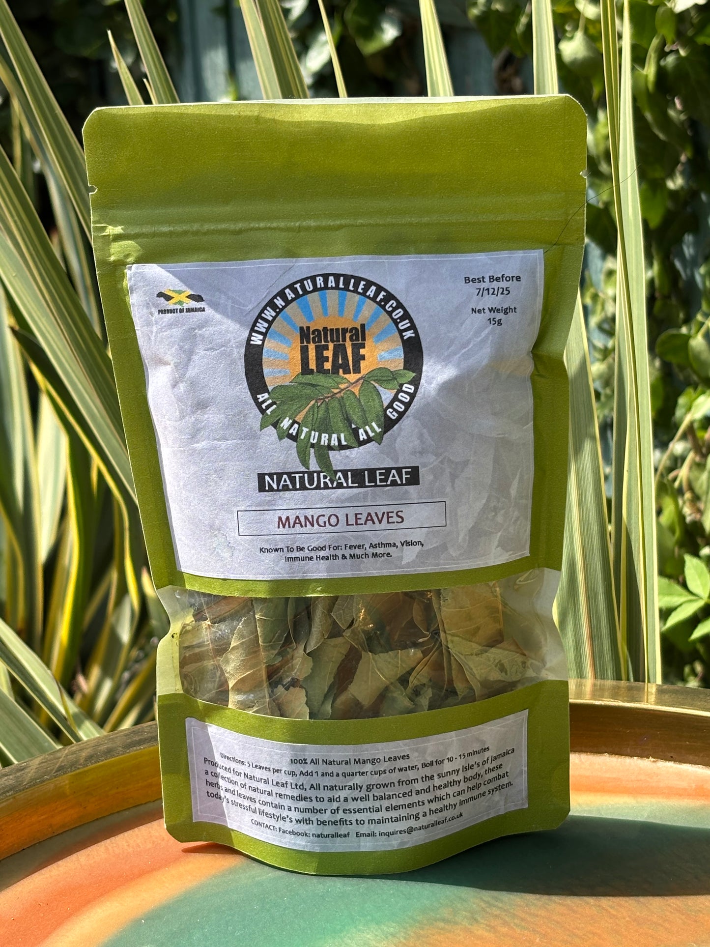 Mango Leaf Tea - Digestion & Blood Sugar Support