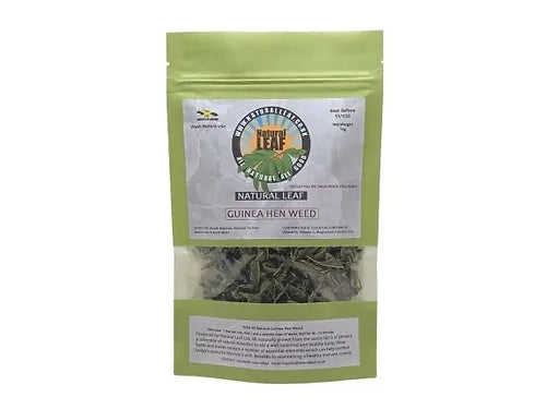 Guinea hen Weed Tea/Herbs - Immune Support & Detoxification