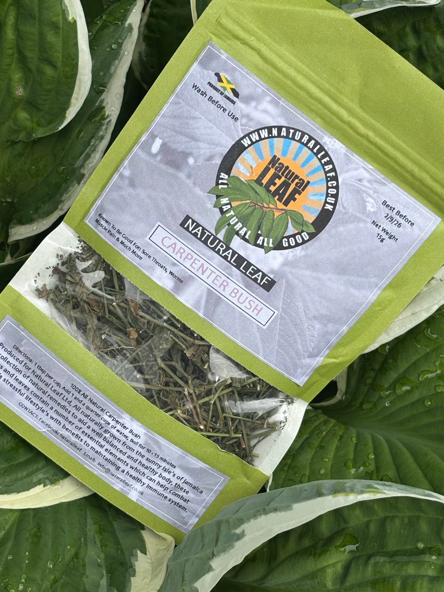 Carpenter Bush Tea - Respiratory Health & Immune Support